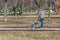 Worker with manual paver rams granite chips on a footpath in a park