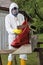 Worker with mask packing Asbestos Disposal