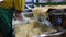 Worker mixing shredded cabbage and carrot