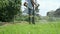 Worker mowing a grass using trimmer outdoors