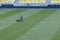 Worker mowing lawn on football field using grass-cutter