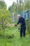 Worker mows grass and weeds with a lawn mower