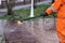 Worker in orange protective uniform disinfects park benches