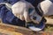 A worker in overalls is grinding a weld seam