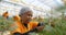 Worker picking blueberries in blueberry farm 4k