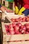 Worker picking Italian typical apples