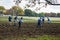 Worker planting flowers field seed