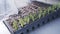 Worker planting small plants in trays inside industrial nursery