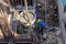 Worker pouring cement pouring into foundations formwork at building area in construction site