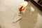 Worker pours concrete mortar on a construction site