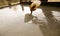 Worker pours concrete mortar on a construction site