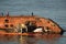 Worker prepare to salvage wrecked ship i