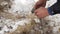 Worker produces the Geology of the soil. Close up hands.