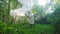worker in protective overalls in the forest uses a mosquito fumigator to destroy the Zika virus and Dengue fever tick