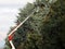 A worker prunes high trees from an aerial platform in a cold sunny winter day