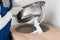 A worker puts a sink with a siphon in the hole in the kitchen countertop, side view