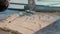 Worker putting cement gum and tiles adhesive on the floor before laying ceramic tile