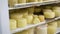 Worker is putting formed cheese in a refrigerator into storage in cheese factory, wearing hygienic gloves