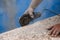 Worker with radial saw with dust on the air with blue background