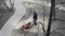 Worker removes stumps after sawing trees using powerful gasoline milling cutter