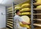 Worker removing aging Comte Cheese at ripening cellar in dairy