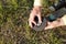 The worker replaces the grinding stone in the angle grinder