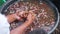 A worker\'s hand washing coffee beans in a plastic basin.