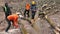 Worker\'s hands holding chainsaw. Sawing wood logging. Sawdust flying into lens.