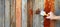 Worker s hands painting wooden wall with brush at construction site for a rustic aesthetic