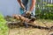 The worker saws the log with an electric saw.