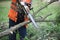 A worker saws a tree branch with a chainsaw.