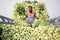 A worker is showing best fresh turnips at Savar, Dhaka, Bangladesh