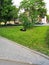 The worker sleeps under the tree at the break. homeless sleeping on the lawn on a summer day.