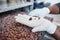 Worker sorting cocoa beans from a factory tray