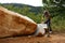 Worker split large rock for road-works