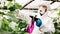 Worker sprays organic pesticides on plants