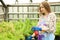 Worker sprinkles plants in greenhouse