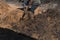 Worker stirs the mixture of sand, mud, water, sawdust with a shovel for making bricks for construction