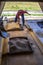 Worker supervises the loading of a truck with sorghum seed