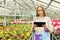 Worker with tablet near cyclamen and primroses in greenhouse