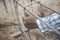 Worker ties wire metal steel to building structure at construction site. Man hand holding material Metal Steel reinforced rod for