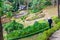 Worker in a tropical park is watering flowers in Dalat