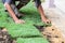 Worker unrolling laying sod for new grass