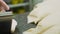 Worker uses metal sheet to cut yeast dough on table closeup