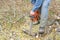 Worker using chain saw and cutting tree branches.