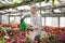 Worker watering plants