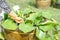 A worker wear gloves maintenance lotus plant by removing an old and diseased lotus leaves