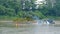 Worker on a weed clearing water tractor, piling weeds onto a barge. Birds like are seen wandering about, searching for food