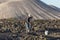 Worker work in the vineyards of La Geria in Lanzarote