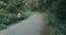 Worker in workwear and on highway in forest measures roadway with tape measure